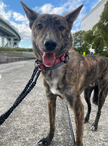 わさびくんのアップ写真